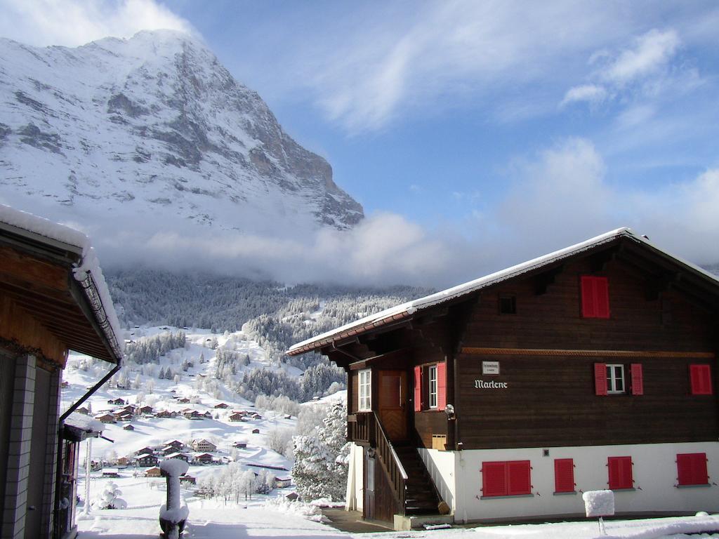 Chalet Aiiny Γκρίντελβαλντ Εξωτερικό φωτογραφία