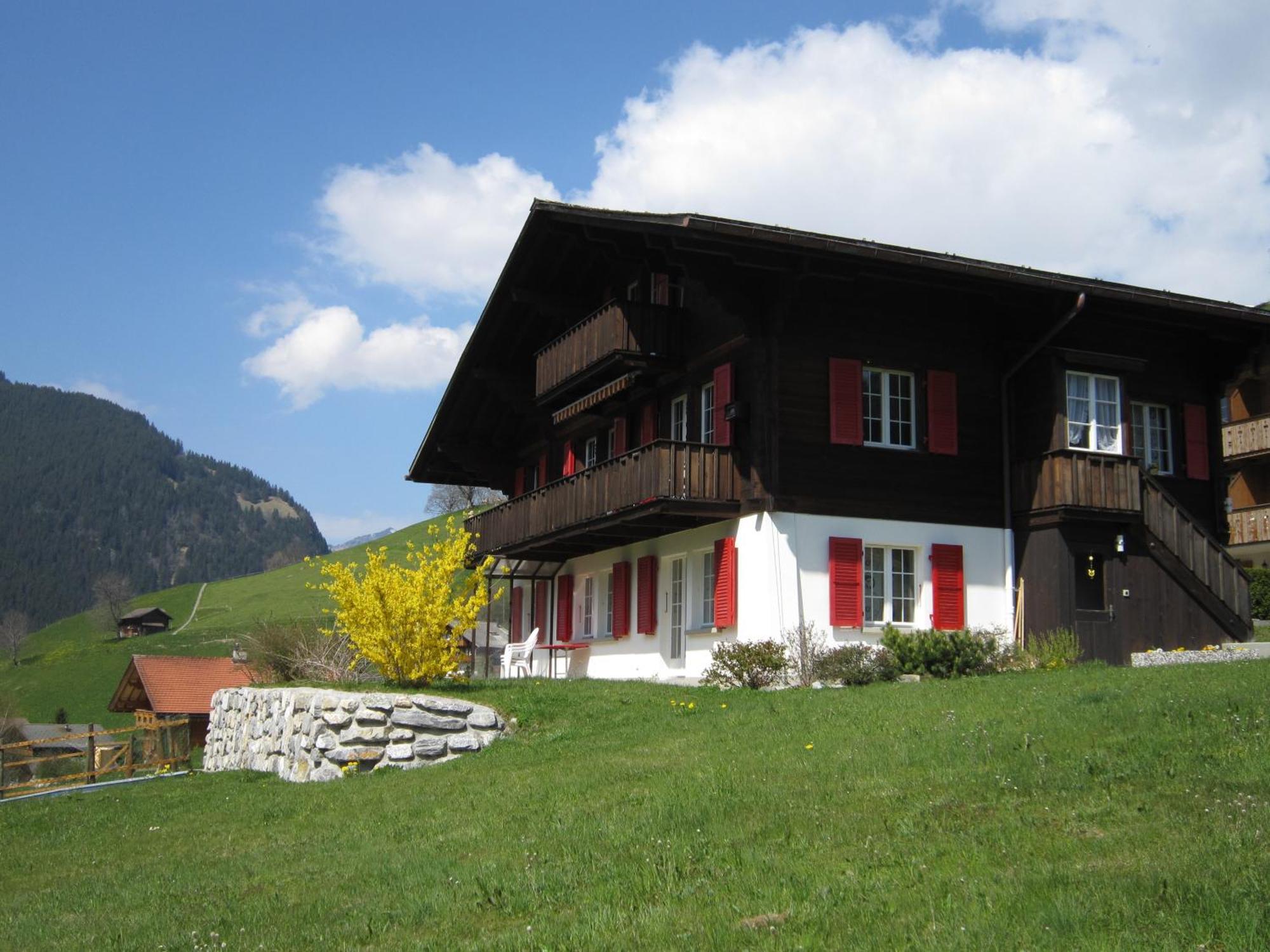 Chalet Aiiny Γκρίντελβαλντ Εξωτερικό φωτογραφία